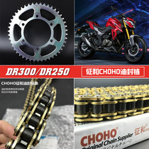 Applicable to Haojue Suzuki DR300 HJ300 set of chain sprocket modification silent 15 tooth disc and oil seal chain
