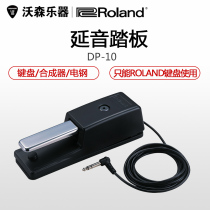 ROLAND ROLAND DP-10 keyboard synthesizer Electric piano sustain pedal Roland special