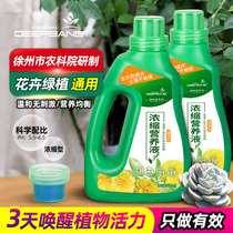(Single product)Shenbang plant general nutrition soil hydroponic flower green dill fleshy fertilizer Liquid organic fertilizer