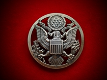 US public hair USGI USAF US Air Force cap emblem