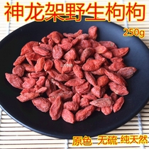 Shennongjia deep mountain special natural primary color wolfberry victory Ningxia Zhongning wolfberry tea farmhouse sulfur-free 250 grams