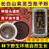 Changbai Mountain Purple Ganoderma lucidum spore powder pure natural under the forest wild special top road basswood Linzhi robe powder