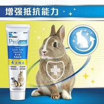 Dr. DR Bunny Rabbit Lactic Acid Bacteria Nutritional Cream Enhances Resistance Appetite Maintain Intestinal Health 70g