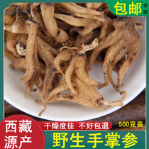 Selected palm ginseng Wild authentic Tibetan specialty hand ginseng Buddha hand ginseng dried 500g premium Chinese herbal medicine five-finger ginseng