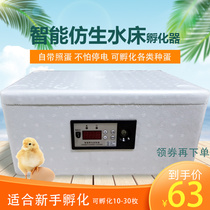 Water bed incubator small household smart incubator foam box small chicken duck goose pigeon mini incubator