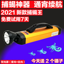 Photo Scorpion lamp special strong light super bright purple flashlight portable head-mounted catch catch scorpion lamp charging outdoor