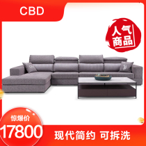 CBD fabric sofa fashion simple modern light luxury environmental protection living room furniture set up combination adjustable removable and washable