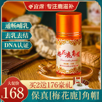 Yilu antler cap powder antler powder deer tray Jilin plum deer antler glue antler powder pure powder breast