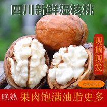 2021 Sichuan fresh and tender to green skin thin paper wet walnuts pickened pregnant women NUTS 3kg 5kg whole box