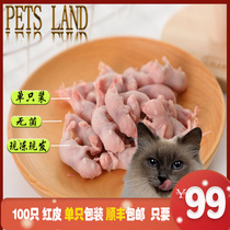  Yuantong SF frozen mice milk mice red skin powder skin white frost open eyes open food pet feed cat food