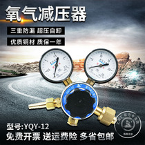YQY-12 Shanghai pressure reducer factory Oxygen pressure reducer regulator Pressure gauge pressure regulator Gas regulator