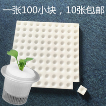 No. 32 seedling sponge hydroponic planting sponge planting cotton concave hole cross soilless cultivation vegetable square sponge block