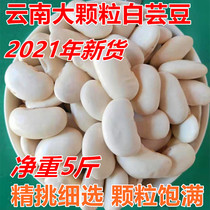 Yunnan specialty white kidney beans 5kg large Baiyun beans lentils farmers self-produced red kidney beans red kidney beans soup raw materials