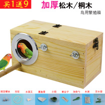Tiger skin peony Xuanfeng pine breeding box Parrot Tong solid wood warm birds nest nest incubation box Bird supplies
