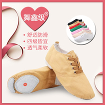 Low-top folk dance jazz dance shoes Dance ballet canvas practice shoes Belly dance soft-soled womens adult new products
