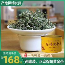 2022 New Tea Pajing Gold Tea Bright Front Special Class Alpine Cloud Foggy Green Tea Canned 100g Tea Courtesy Companion Gift