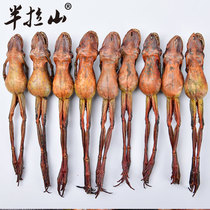 Banlashan snow clam dried large 13 grams Dongbei forest frog dried whole dry goods toad oil Xueha flagship store