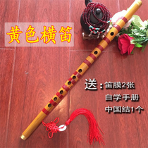 Flute beginner zero Foundation stainless steel flute adult purple bamboo flute female ancient props childrens top ten brands bamboo flute