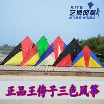 Wang Yuzi kite 544 soft umbrella cloth carbon rod triangle kite Large high-grade luminous kite easy to fly