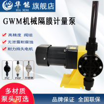 Metering pump GWM diaphragm dosing pump Dosing flow pump Stainless steel PVC corrosion resistance
