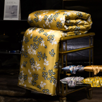 Silk quilt 100 mulberry silk genuine silk jacquard spring autumn quilt core summer cool quilted by air conditioner by winter quilt by the winter quilt