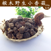 Jinggangshan basswood small mushroom farm mushroom 500g mushroom self-produced mountain rare fresh fragrant meat thick winter mushroom specialty dry goods