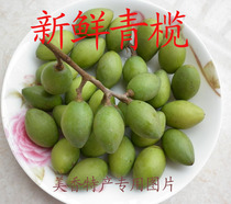 Gaozhou local fresh olive Green olive Yellow olive Green Fruity olive Sweet olive Sandalwood olive