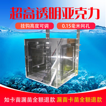  Jinbozi breeding box Small fish incubator isolation box Dutch fish acrylic fish tank custom peacock isolation net