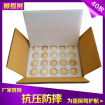 Olive tree packaging gift box 40 20 EPE pearl cotton fast anti-fall shockproof foam stupid egg free range egg mop