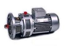 WB120 Cycloid needle wheel reducer 1100W 1:43