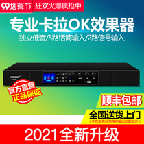 A12 professional karaoke reverberator stage family KTV dedicated DSP pre-effects private room Project