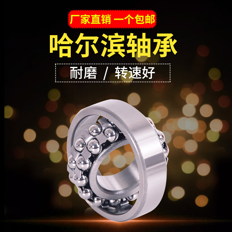 Harbin Bearing 1304 1305 1306 1307 1308 1309 1310 1311 1312 1313