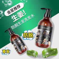 Venus recommends ginger shampoo old Jiang Wang anti-hair hair hair hair hair increase hair anti-dandruff anti-itching oil fluffy women