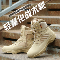 Delta men and high low-top desert boots commando combat boots desert boots tactical lu zhan xue hiking shoes