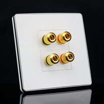 Type 86 two-digit speaker socket panel multimedia 2 surround terminals audio wall switch weak electric microphone