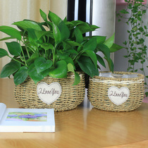 Pastoral Willow flower pot Korean creative small flower basket decoration ornament rattan multi-meat flower straw basket