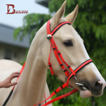 Bridle head water Le rein nose Le red PVC suit cost-effective lead Malone head eight feet dragon lead rope