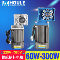 AC gear motor RV030 RV040 Worm gear motor 60W-300W 220V 380V
