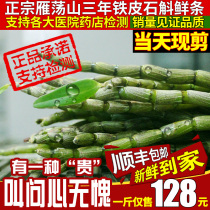 Dendrobium dendrobium fresh strips Yueqing Yandang Mountain bionic fresh maple bucket 500g non Huoshan iron maple bucket