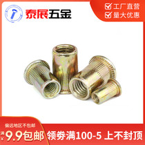 Metric American No 8 No 10 1 4-3 8-5 16-5 32 Knurled flat head rivet nut Metric vertical rivet
