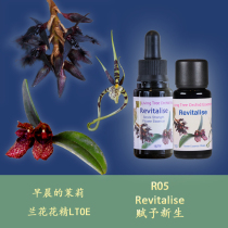R05 gives birth to new burning and blocking new vitality British tree of life orchid flower essence liquid particles