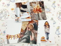 Time Hai Wenchuang DV036 autumn maple leaf theme set decoration loose leaf book Gillio hand tent divider page