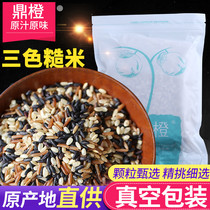 Three-color brown rice new rice 5kg grains red rice black rice brown rice paste Coarse grain fitness germ rice fat reduction Rice