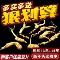 Ginseng Changbai Mountain wild mountain ginseng residual ginseng Authentic Northeast forest ginseng Moving mountain ginseng raw sun-dried wild old residual branches soaked in wine