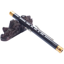 New Art Plus Key Tubes Tear Pipe for the National Adult Professional Stage Play Students Beginnics Self Taught Instruments Grand Total