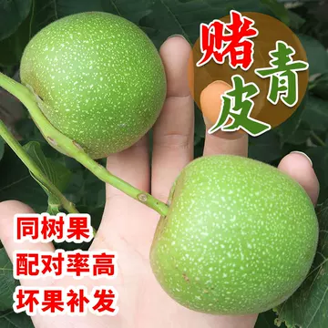 蛤蟆头文玩核桃-蛤蟆头文玩核桃促销价格、蛤蟆头文玩核桃品牌- 淘宝
