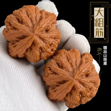 大粗筋文玩核桃-大粗筋文玩核桃促销价格、大粗筋文玩核桃品牌- 淘宝