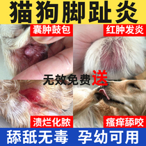 Pets Toe-of-the-Dog Kittens Anglopathy Cysts of Scrotum Inflammation and Inflammation Finger Claws for Anti-Itch external cream