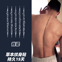 Spine Herb Tattoo Sanskrit Spine Sticking Semi-Permanent Spine