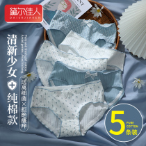 Ladys underwear female summer thin sexy new cotton antibacterial 100 % cotton crotch breathable middle shorts
